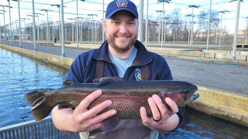 The 2023 adult trout stocking schedule in Pennsylvania – WTAJ – www.wtaj.com